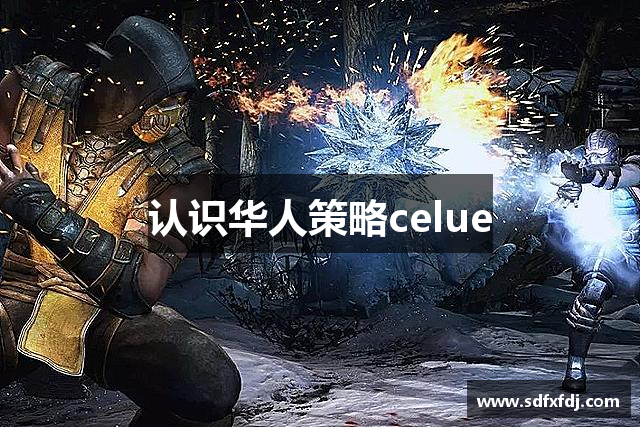 认识华人策略celue